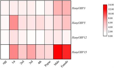 Binding Affinity Characterization of Four Antennae-Enriched Odorant-Binding Proteins From Harmonia axyridis (Coleoptera: Coccinellidae)